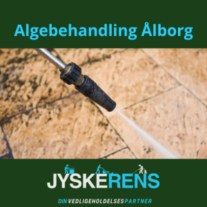 Algebehandling Ålborg