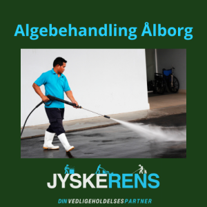 Algebehandling Ålborg