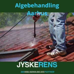 Algebehandling i aarhus (1)