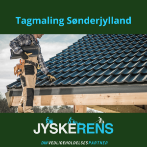 Tagmaling Sønderjylland