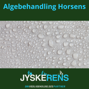 algebehandling i horsens