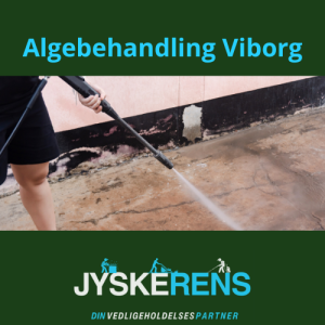 algebehandling viborg