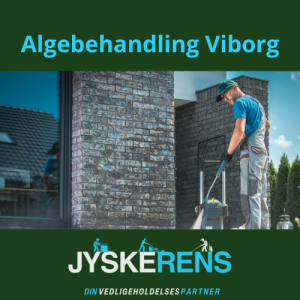 algebehandling viborg