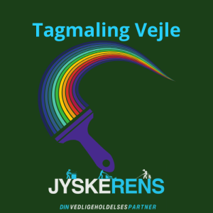 tagmaling i Vejle