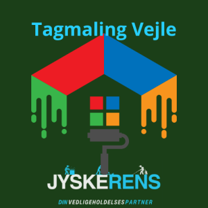 tagmaling i Vejle